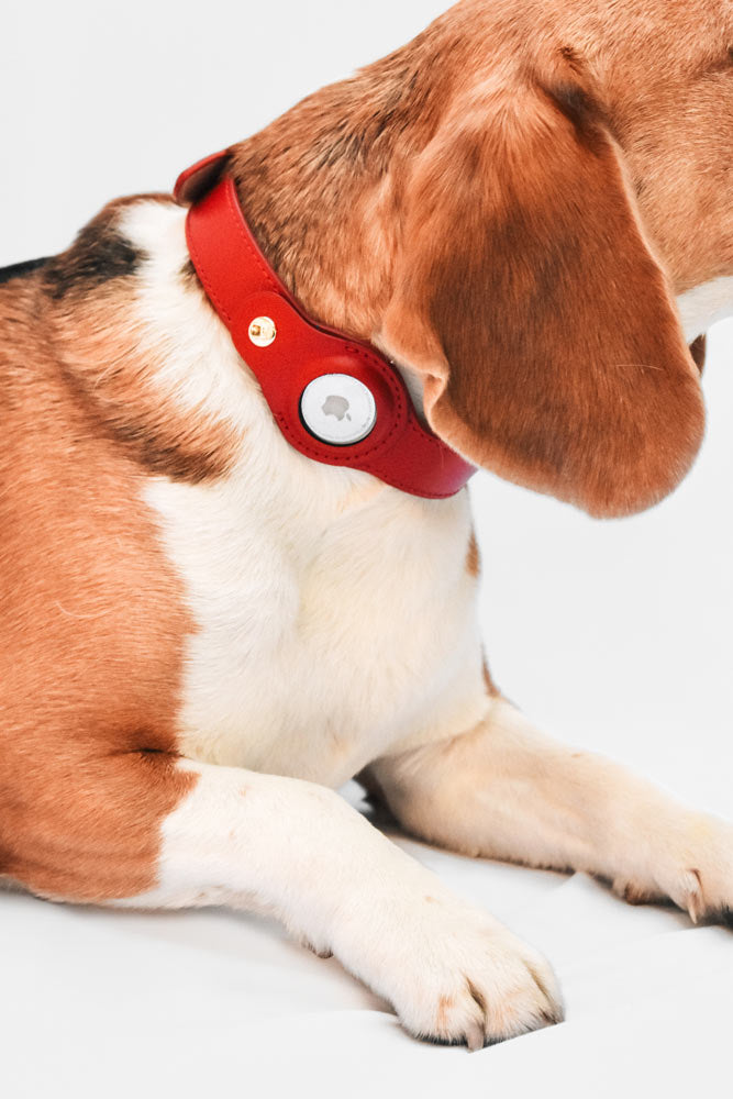 Compre Airtag Collar De Perro Apple Air Tag Collar De Perro