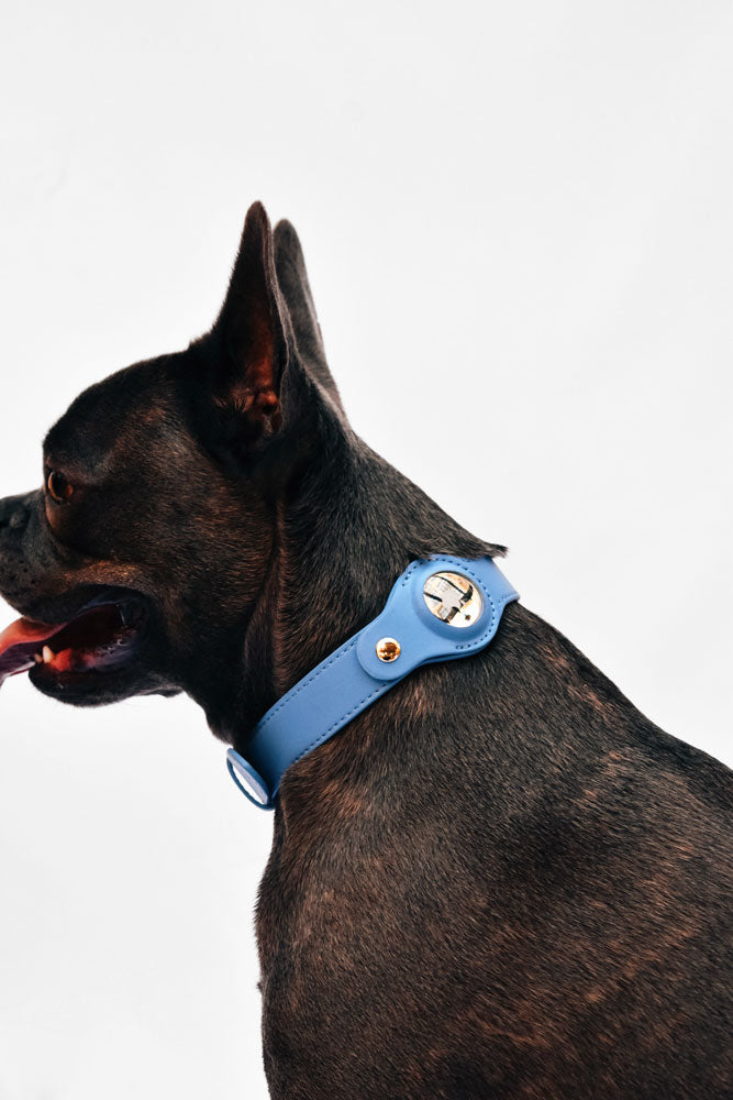 Airtag Dog Harness And Leash Set Mascotas Collier Pour Chien Correa Collar  Para Perro Perros Accesorios Coleira Cachorro Dla Psa - AliExpress