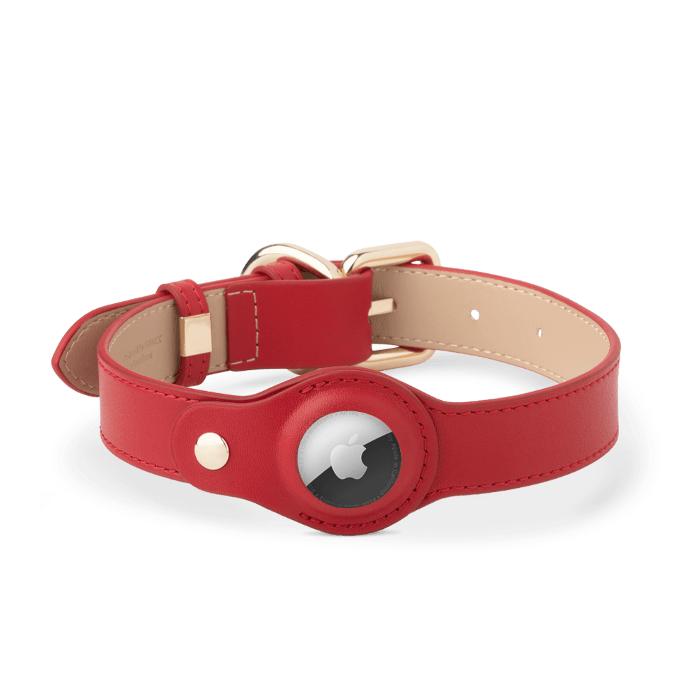 2021 nuevo collar de perro de caja de caucho con caja de airtag